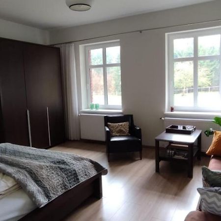 Zacisze Pod Bukami Apartment Gornica Exterior foto
