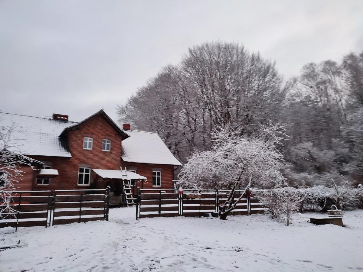 Zacisze Pod Bukami Apartment Gornica Exterior foto