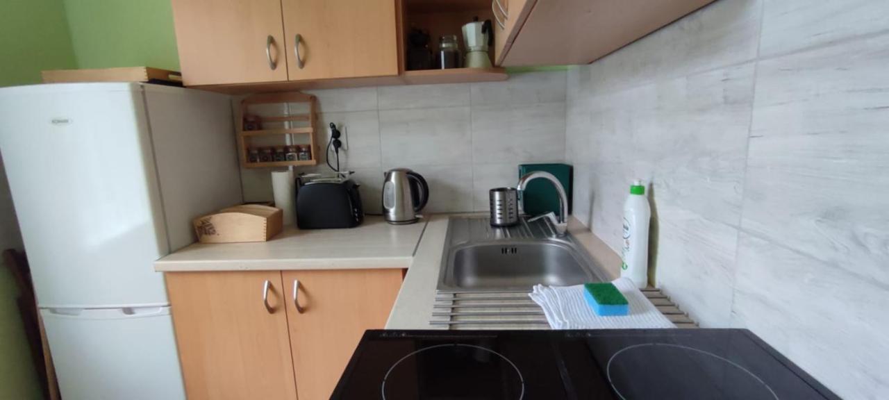 Zacisze Pod Bukami Apartment Gornica Exterior foto